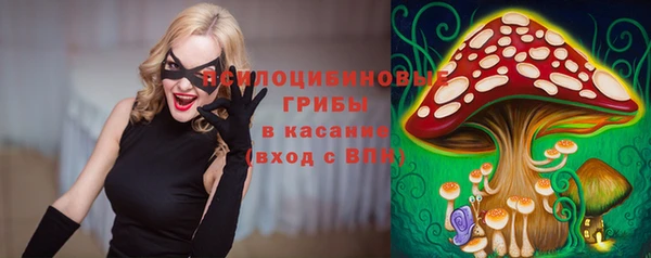 СК Белокуриха