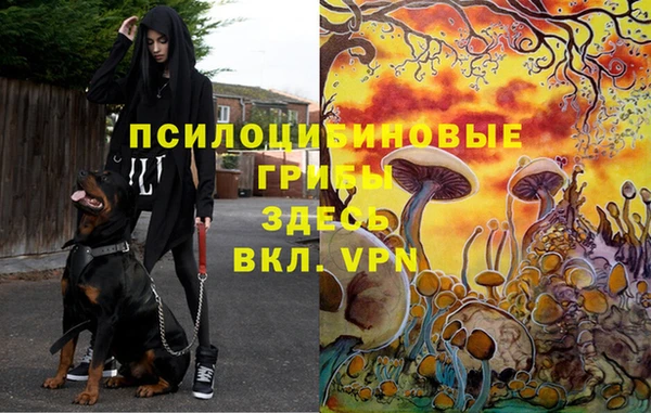 кокаин премиум Беломорск