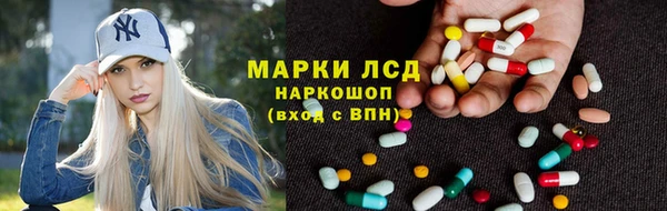 СК Белокуриха