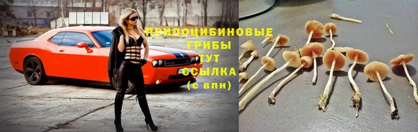 кокаин премиум Беломорск